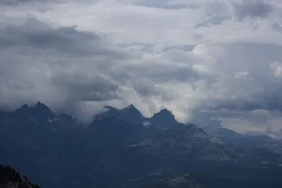 DSC_3094 (Large).JPG